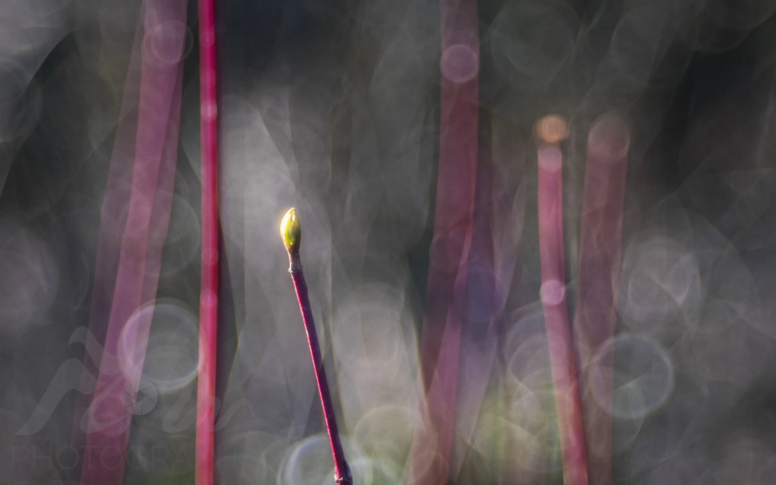 Illuminated