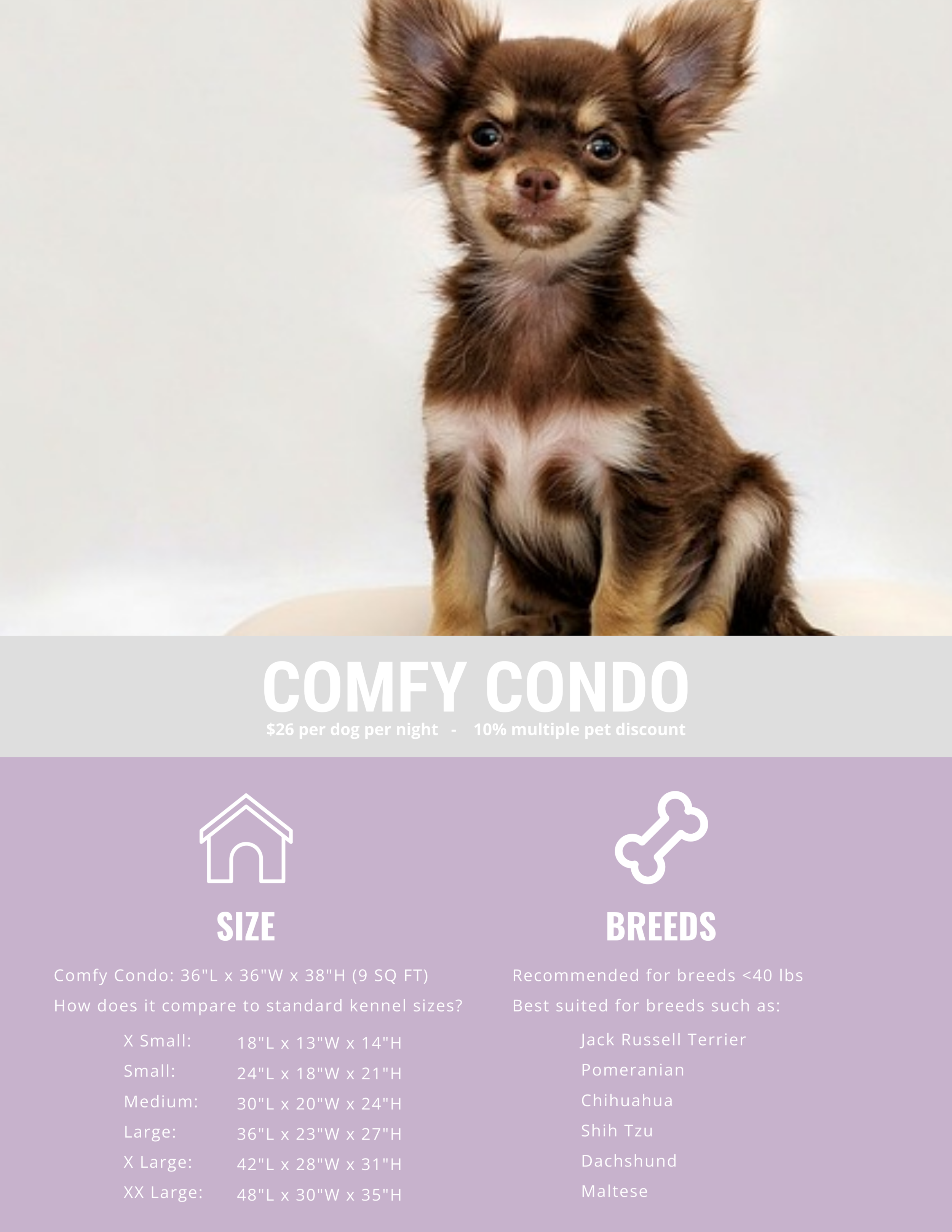 Comfy Condo Flyer.png