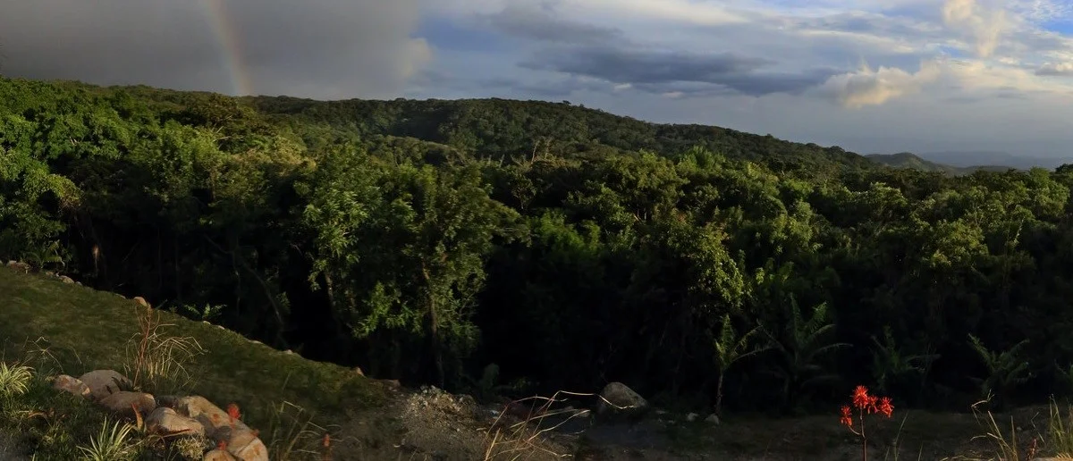 Monteverde-Costa-Rica.jpg