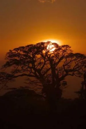 sunset.jpg