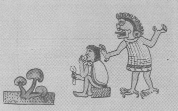 MEXICAN drawing of 16th Century shows three mushrooms, a man eating them and a god behind him, who is speaking through the mushroom.