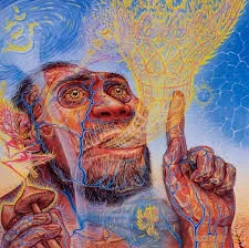 The Stoned Ape theory of human evolution