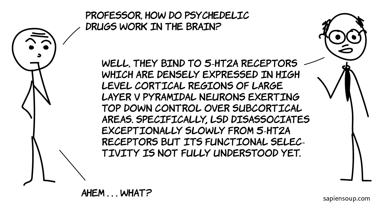 lsd8.png