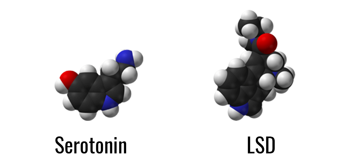 lsd13.png