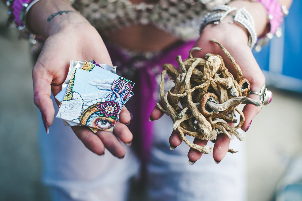 Learn What Shrooms Feels Like. 