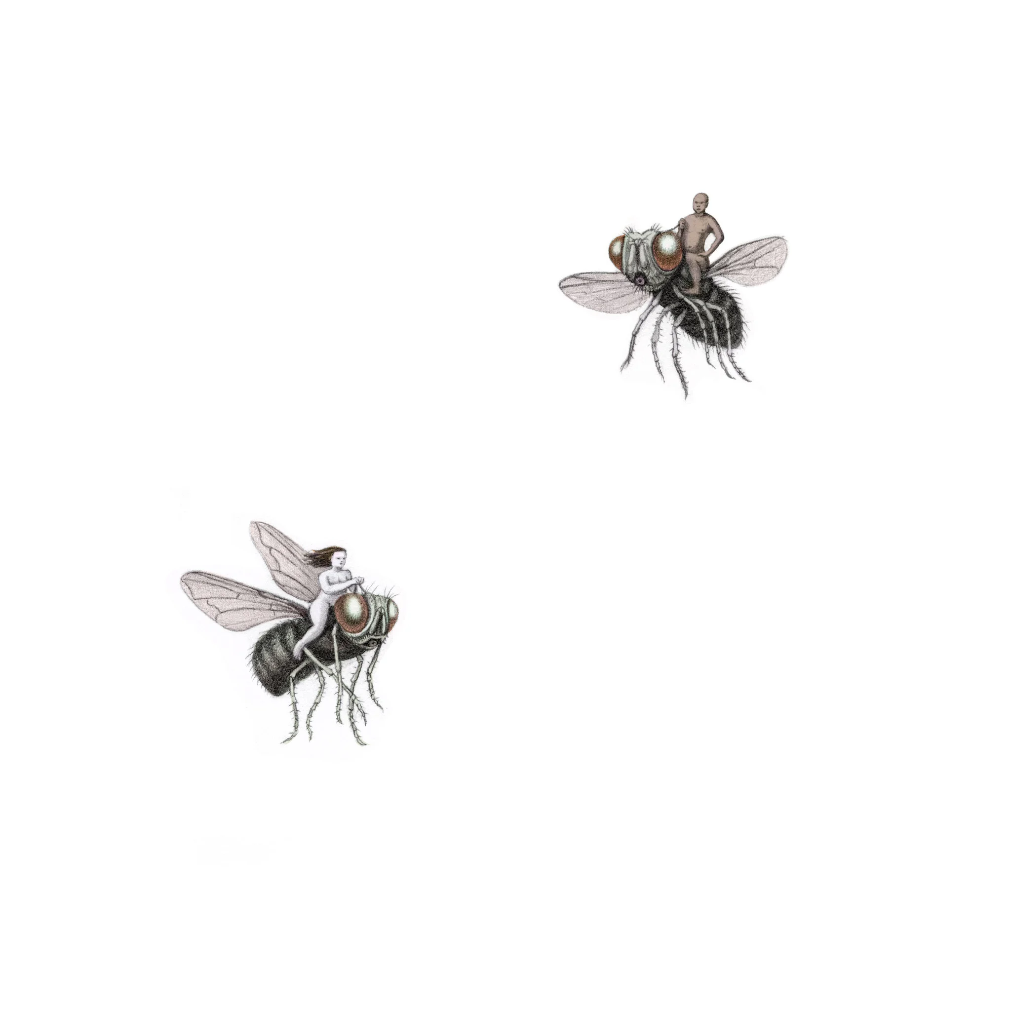 bees.jpg