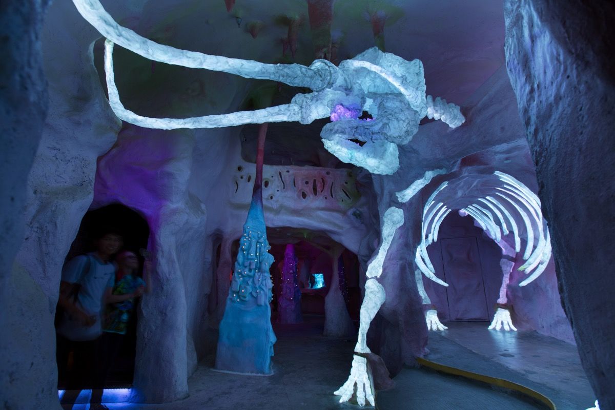 meow wolf 3.jpeg