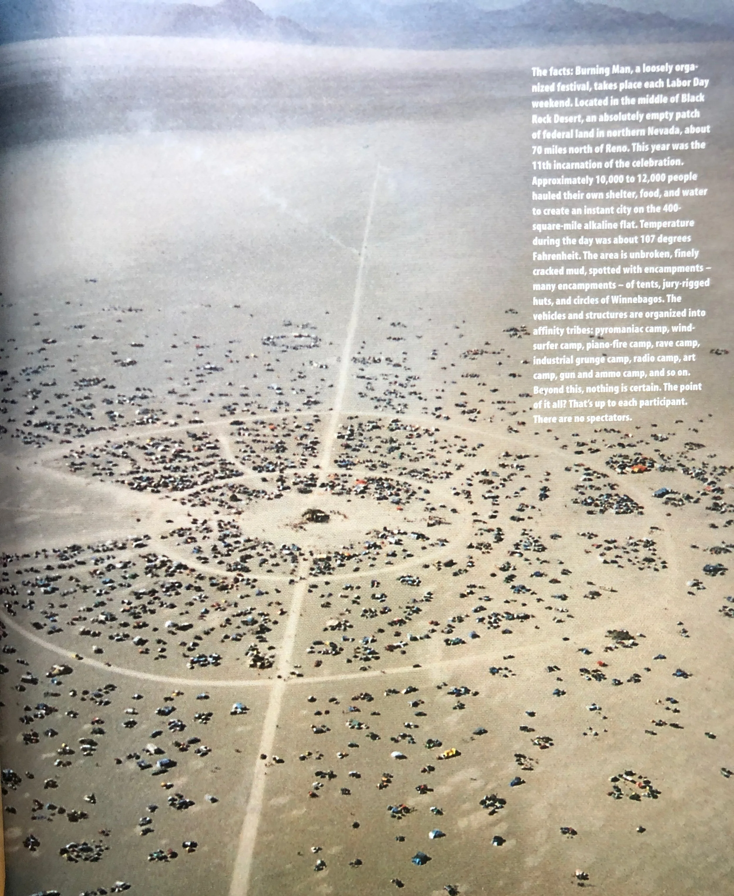The Playa.jpg