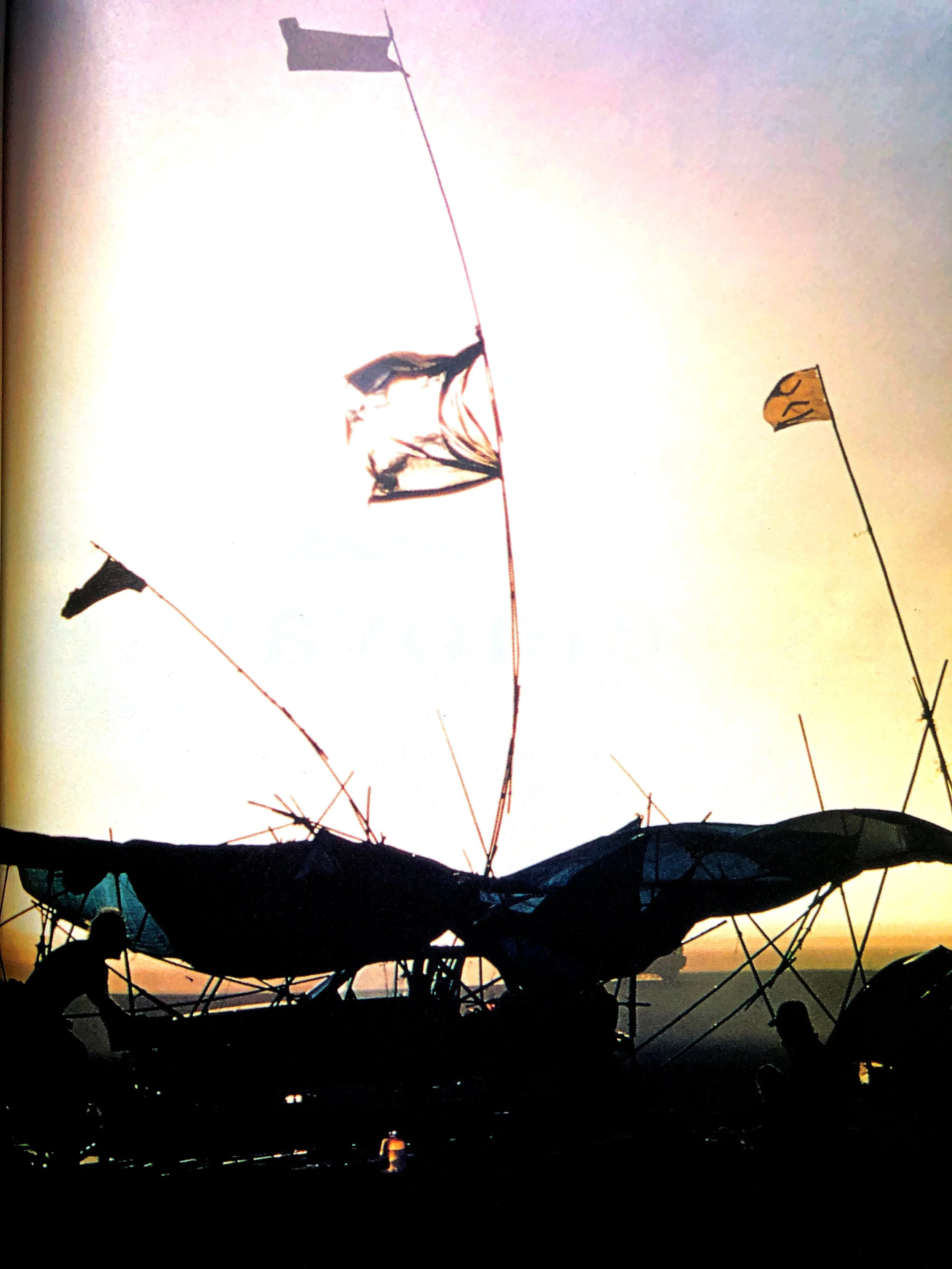 image with flags and tent.jpg