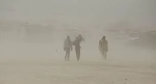 Composition of Dust on the Playa