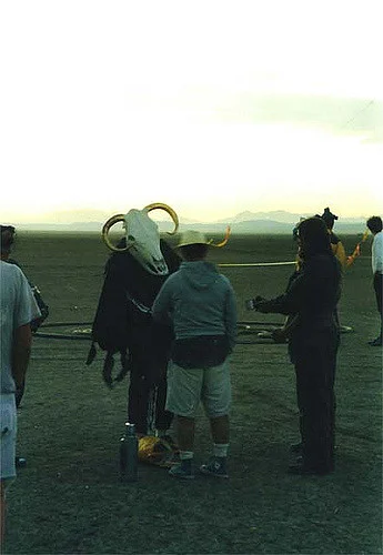Java cow 5.jpg