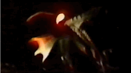 Precious, Burning Man 1994