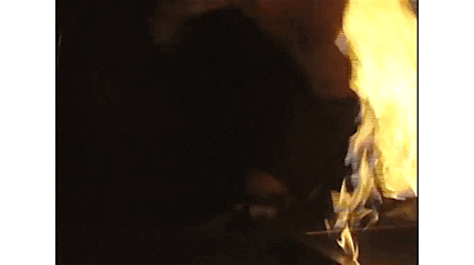 Scot Jenerik-Animated Image (Small).gif