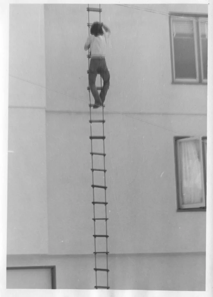 JL-Suicide-Club-rope-ladder.jpg