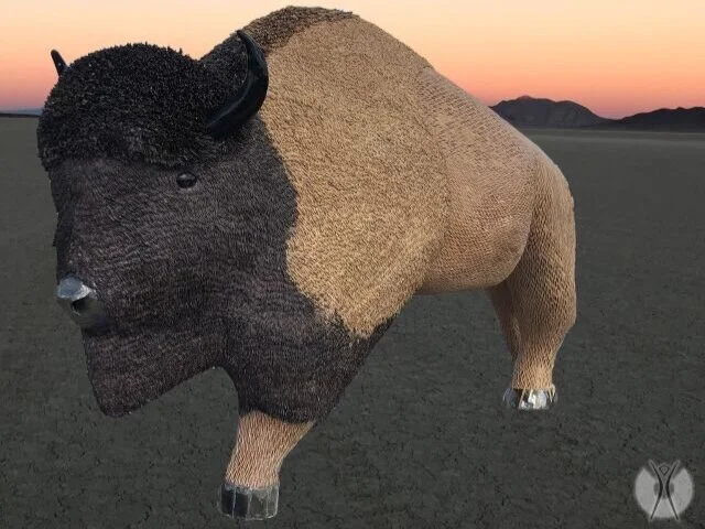 Artist’s rendering