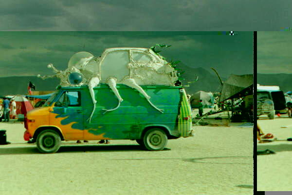 1995 insect van.jpg