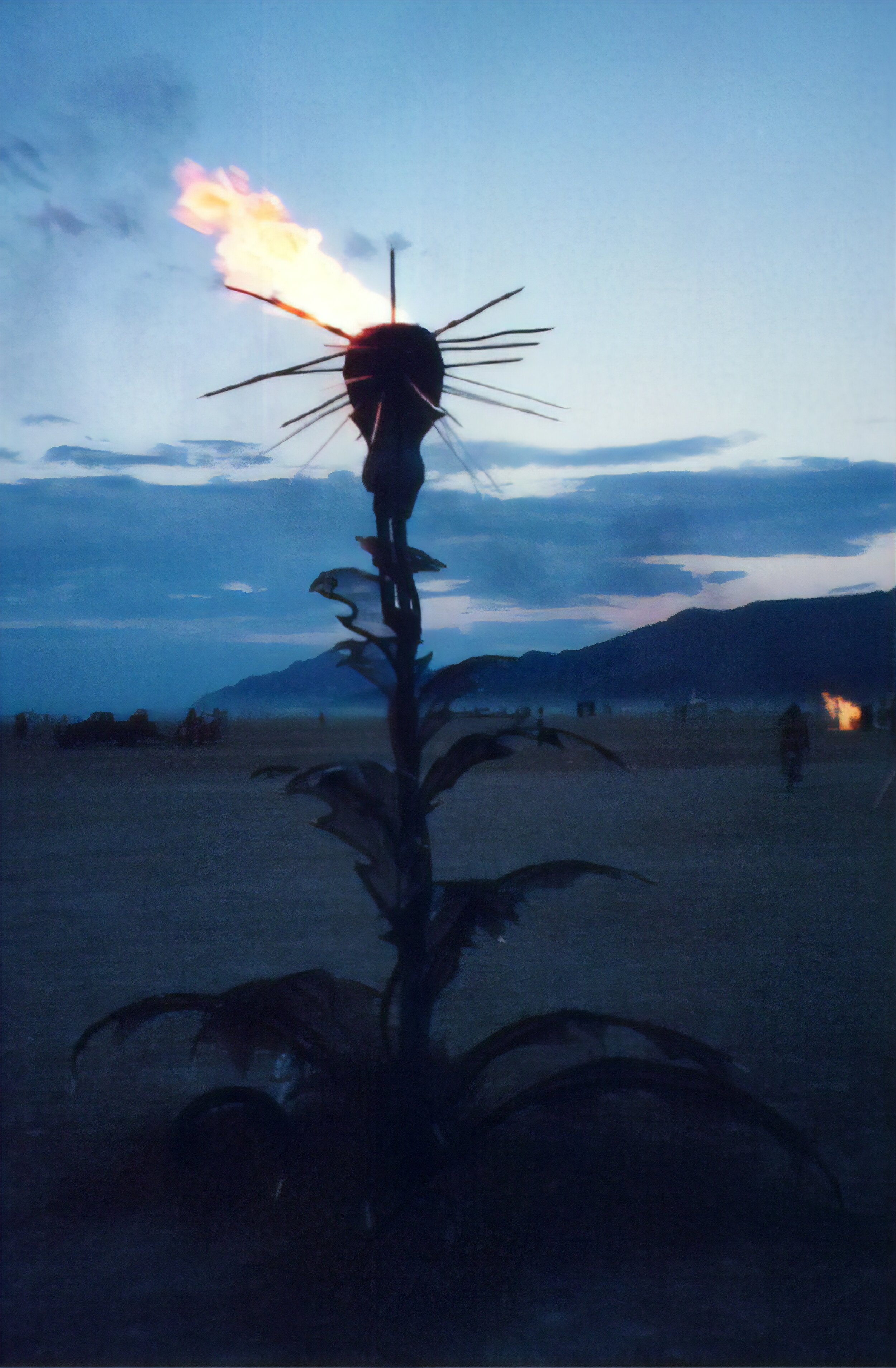    Fire Thistle   A big spiky metal plant with fire on top. 
