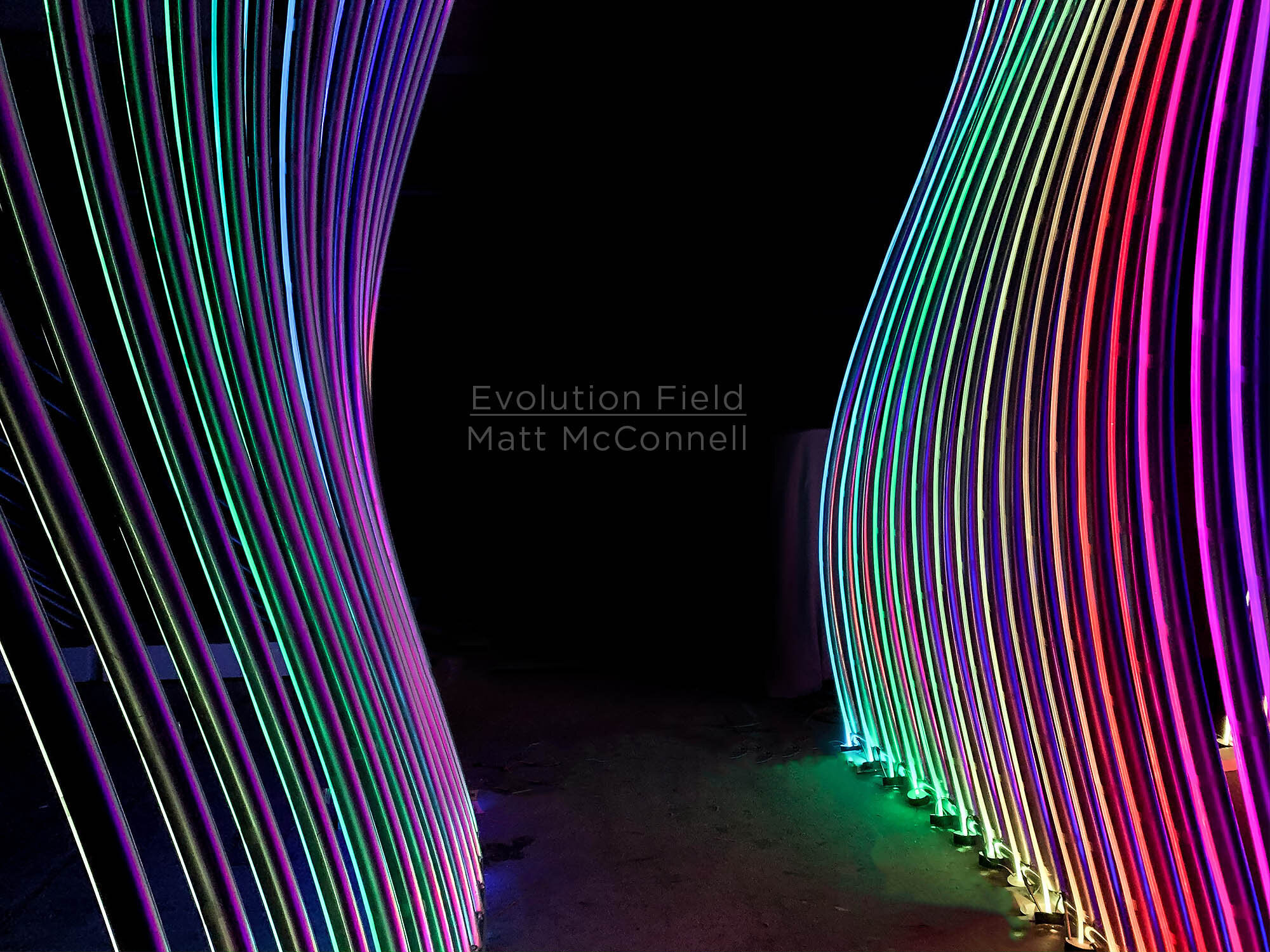 Evolution Field_4_Matt McConnell.jpg