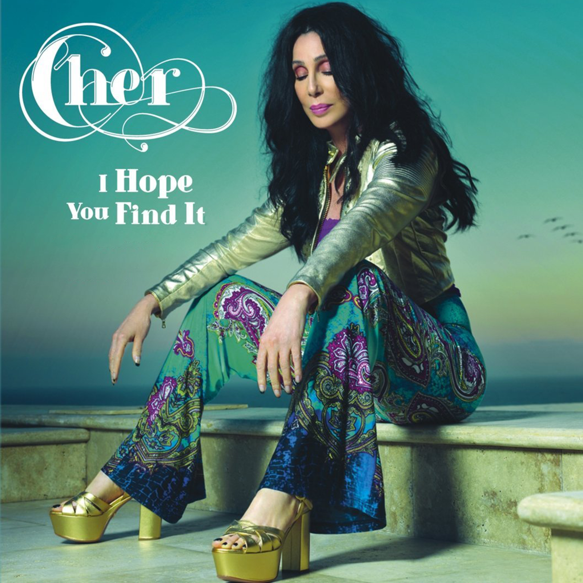 themusik_cher_i_hope_you_find_it_testo_traduzione_video.png