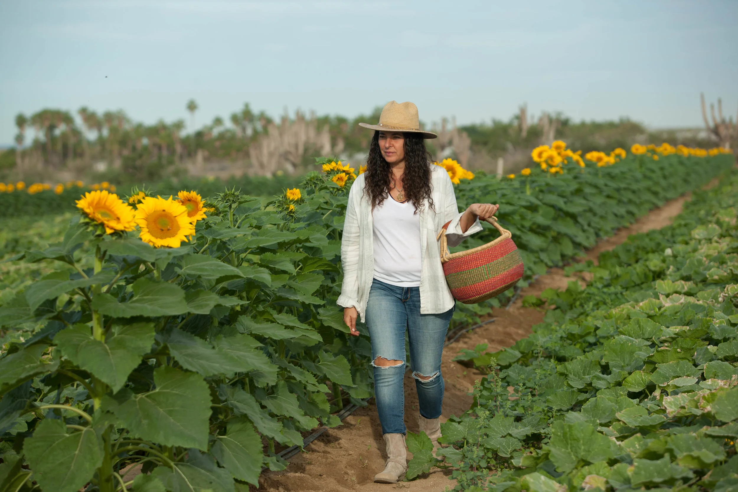 20161221_Ross_Farm-171.jpg