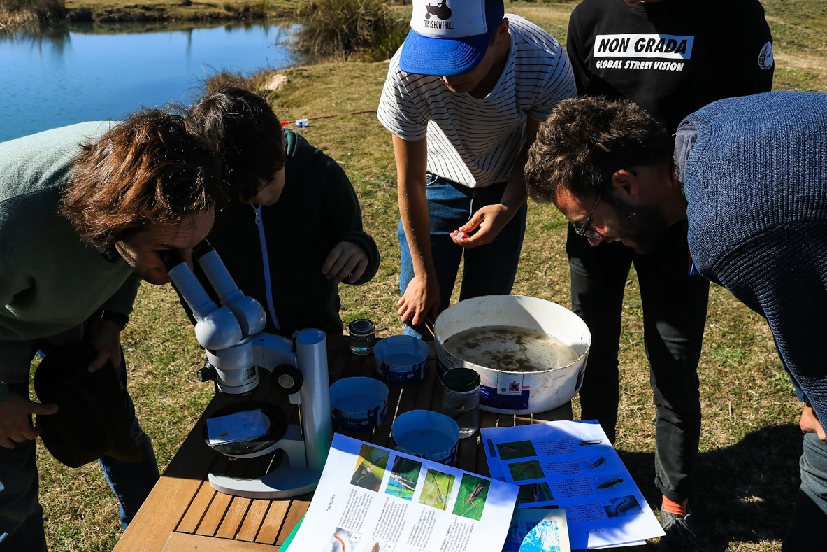 LRM_EXPORT_188997081403973_20190209_213345455.jpeg