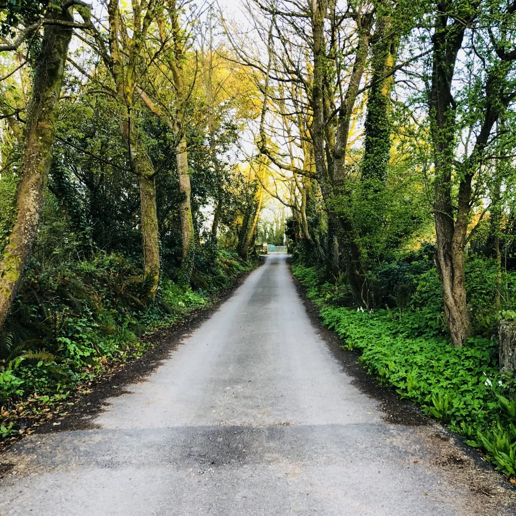 A gentle stroll to the office 