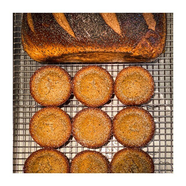 Day 4 was supposed to be lentils but I had too much food leftover it needed to be eaten 😂 So today I did a bit of baking ... @ballymaloecookeryschool white sourdough yeast bread and some little financiers (minus the strawberries) from @christophefel