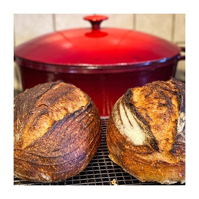 Bakey Bakey! 🚕 A couple of Malthouse sourdough country loaves ❤️ mixture of @tartinebakery &amp; @ballymaloecookeryschool recipes 😝 #sourdough #sourdoughbread #naturalleaven #realmenbakebread #realmenbake #bread #breadmaking #breadmaker #realbread 