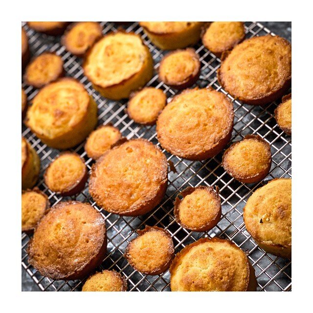 Well that&rsquo;s the coffee time treats for the week sorted😋 Little lemon-ginger syrup cakes from Suqar by @ggregmaloufcheff &amp; @lucymaloufwriter #lemonginger #cake #coffeetreat #homemade #homebaking #homemadecake #cookbookcollector #cookbook #c