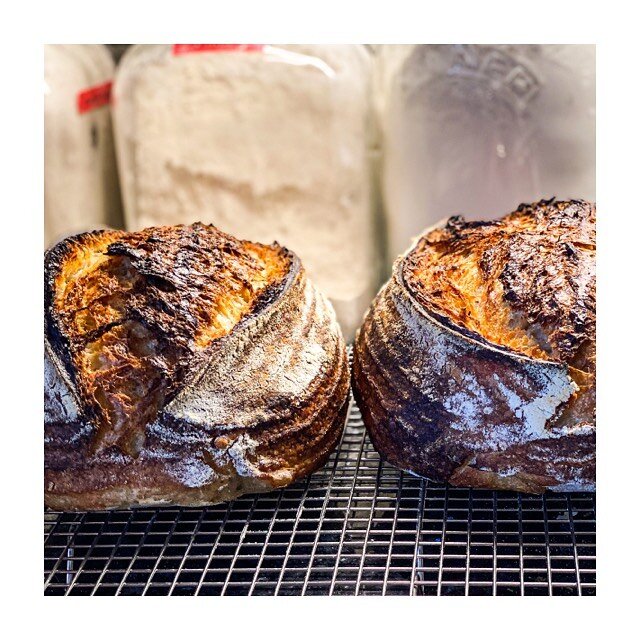 First bake with new @challengerbreadware pan ... I think it&rsquo;s fair to say that I&rsquo;m sufficiently impressed 😂 Well worth the investment 👍🏼 White and malthouse loaf recipe from @ballymaloecookeryschool
.
.
.
.
.
.
.
.
.
 #sourdough #sourd