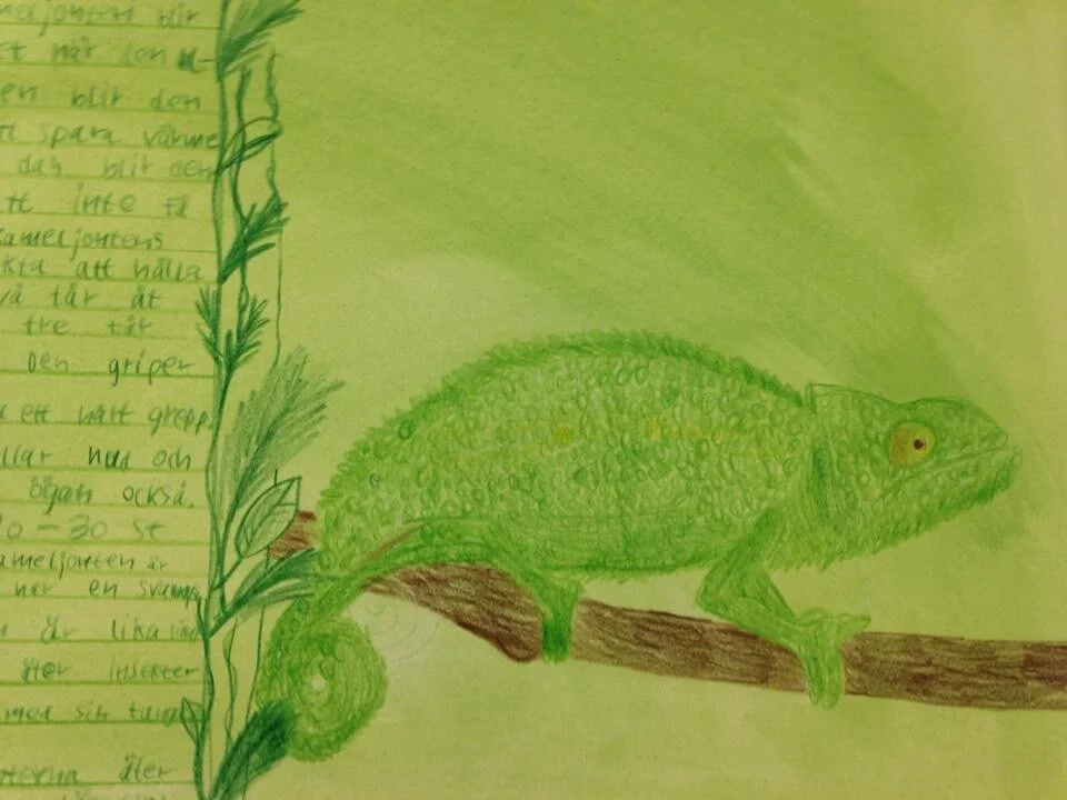 Elevexempel klimatzoner.jpg