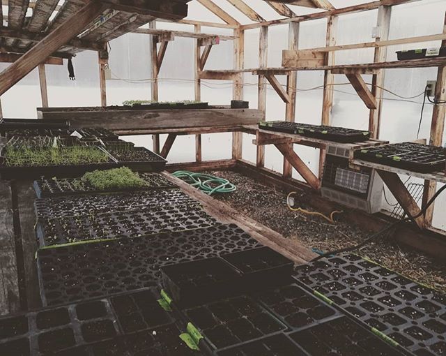 hang zone these days 🌱