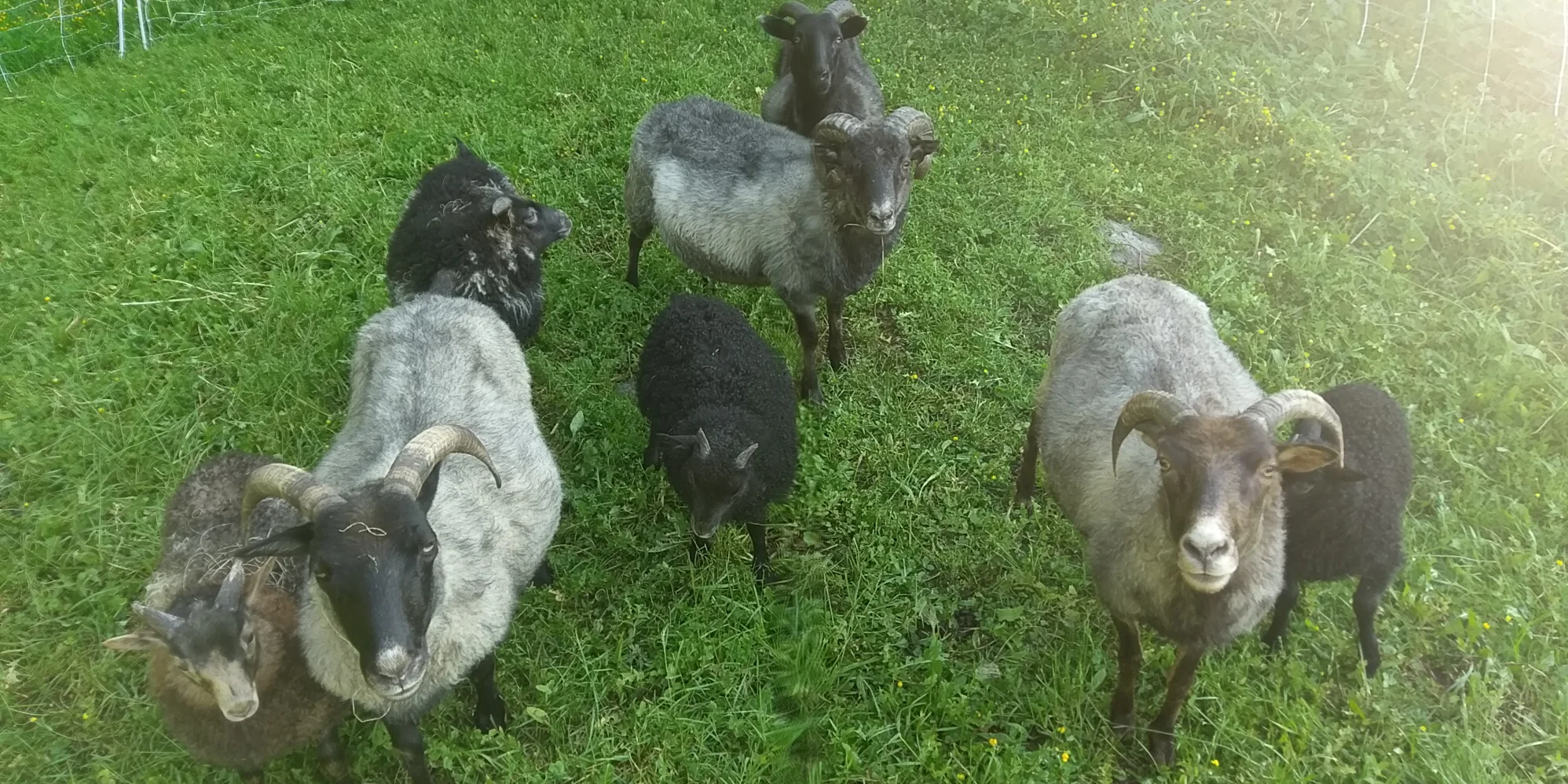 Late June 2019