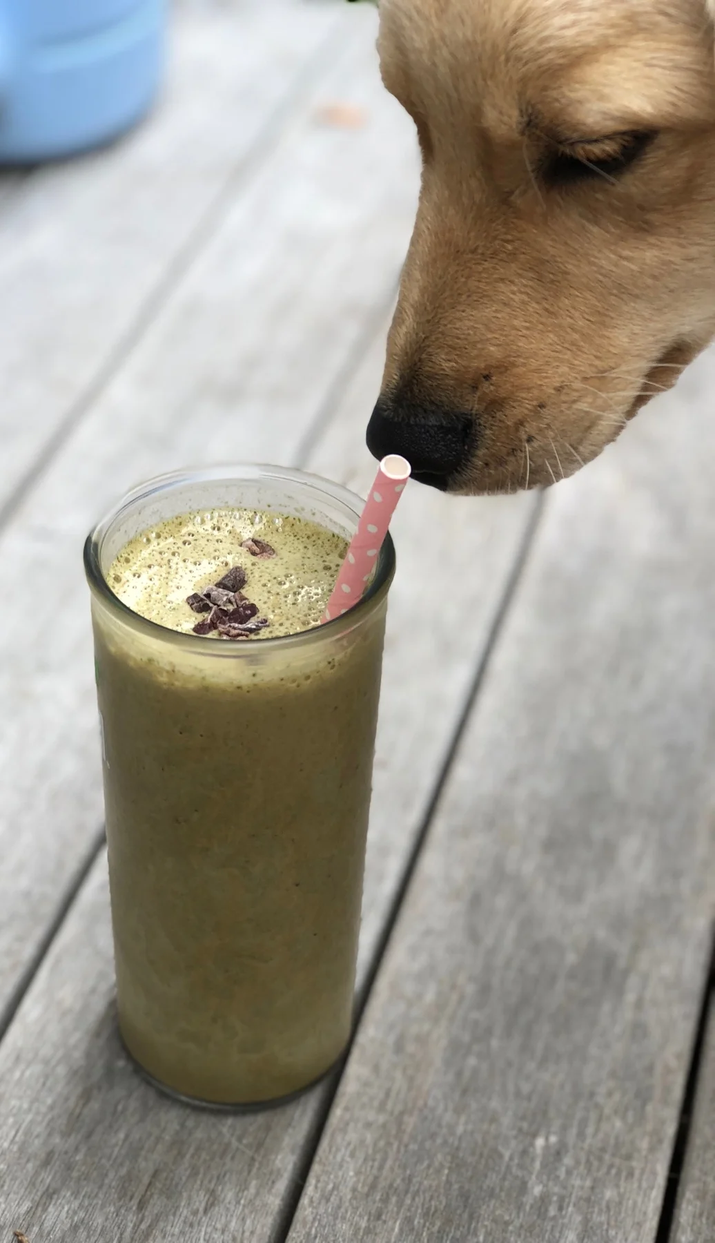 Scoutie's Favorite Smoothie