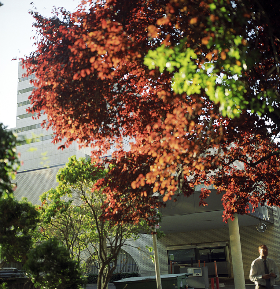 052Homage à Eggleston.jpg