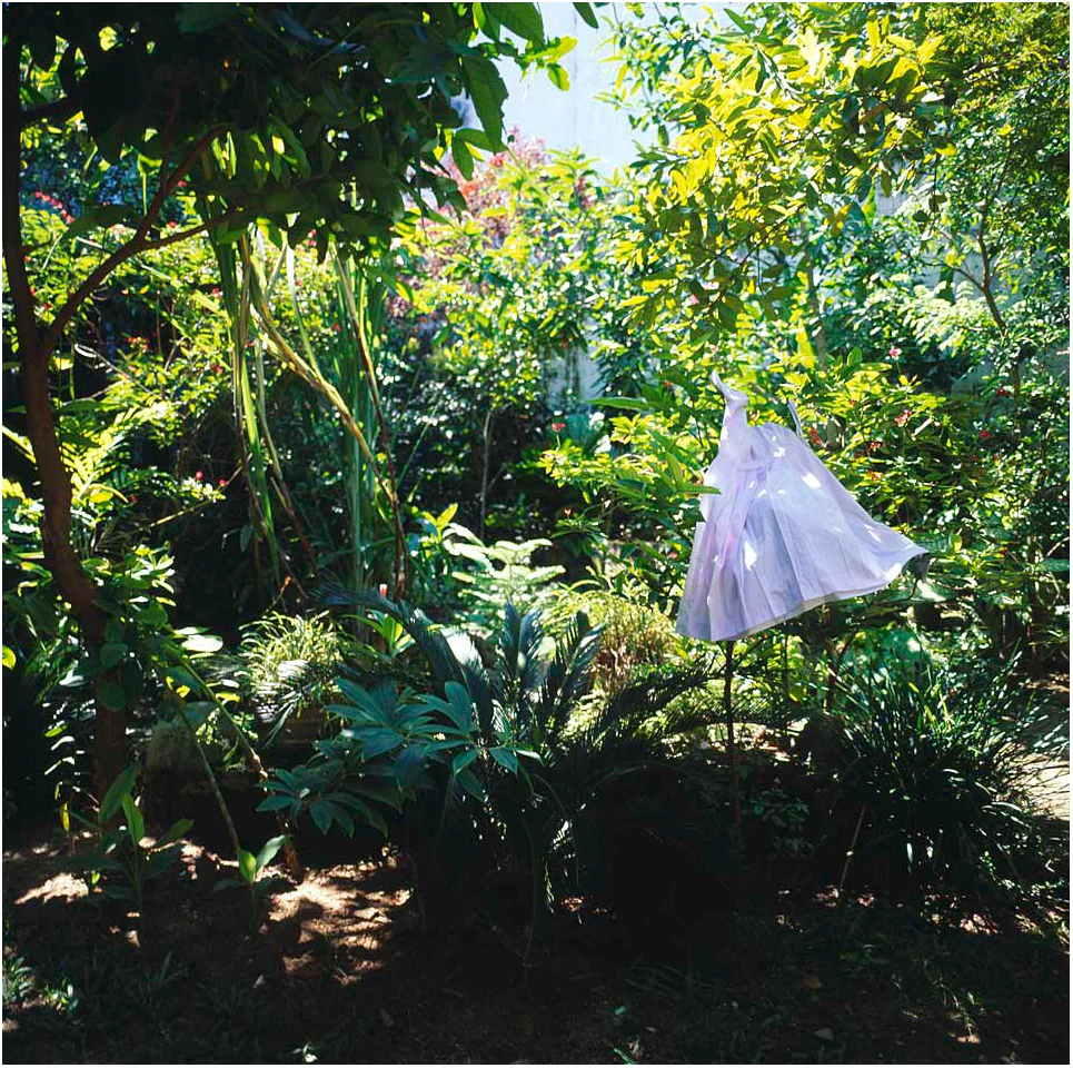 dress-drying_white-border.jpg