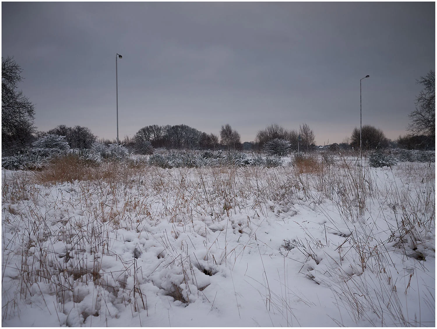 bushwood-in-snow_1060158_white-border.jpg