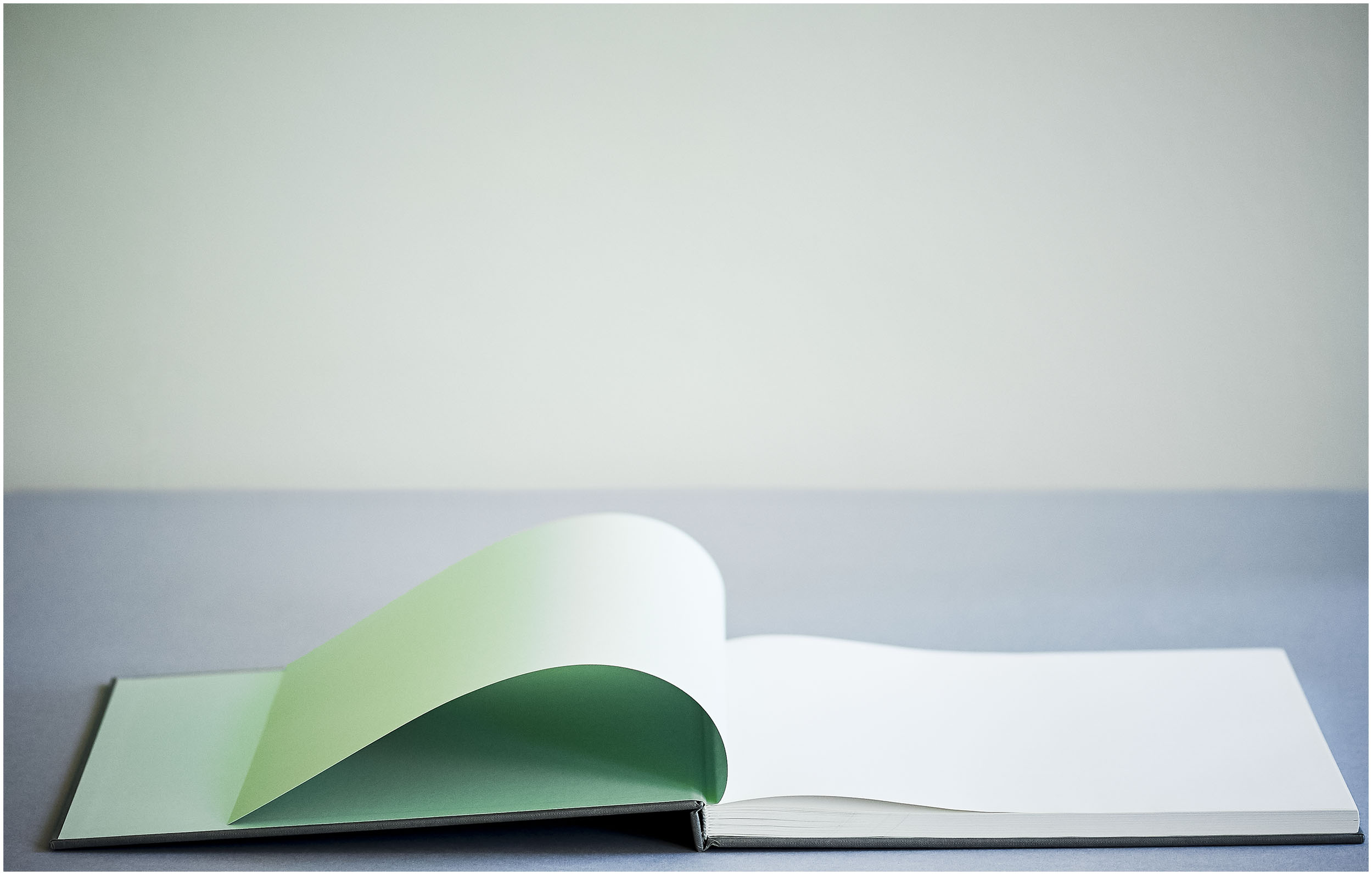 green-flyleaf_ffd4424_white-border.jpg