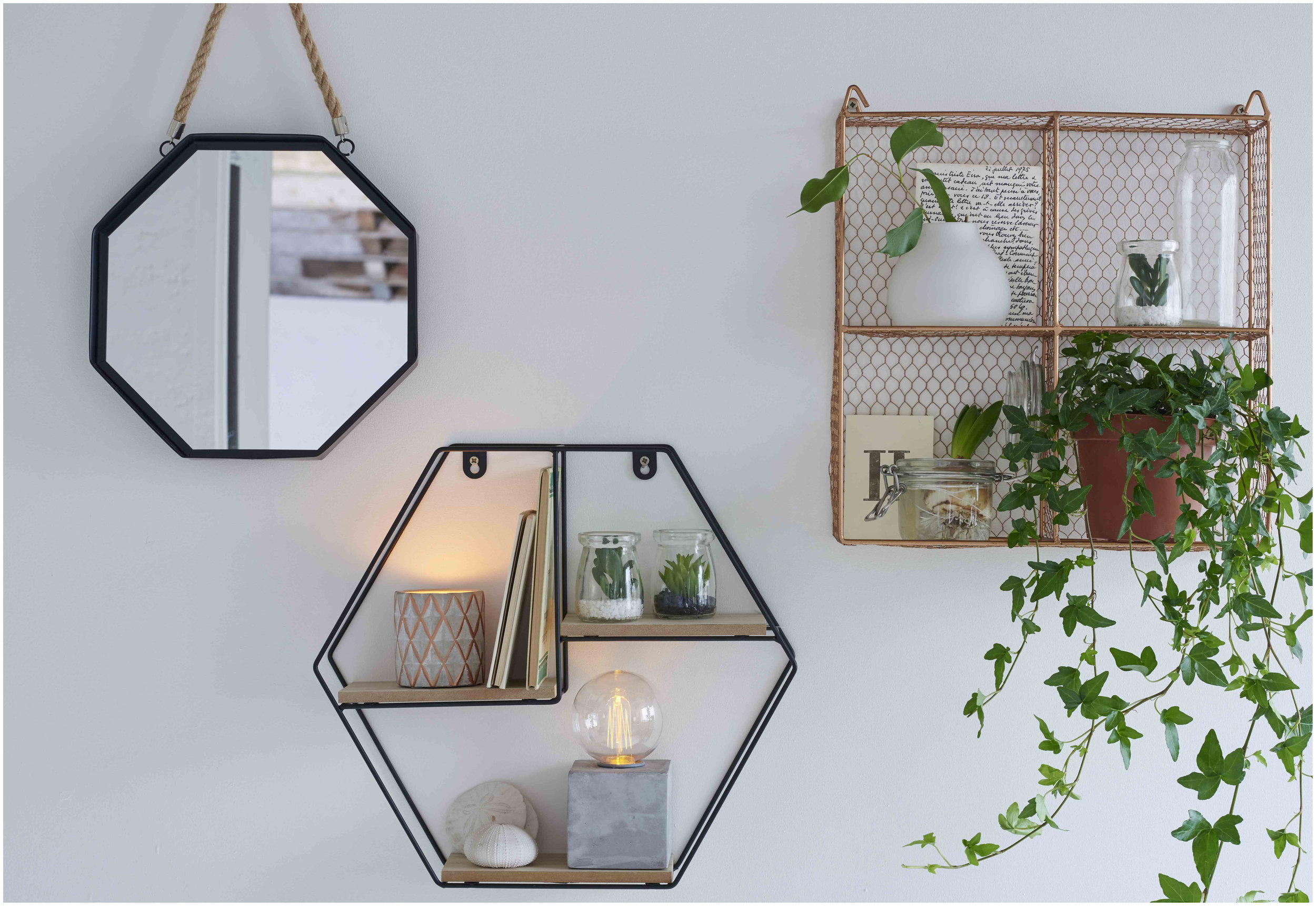 restore-nurture_social_shelves_115_white-border.jpg