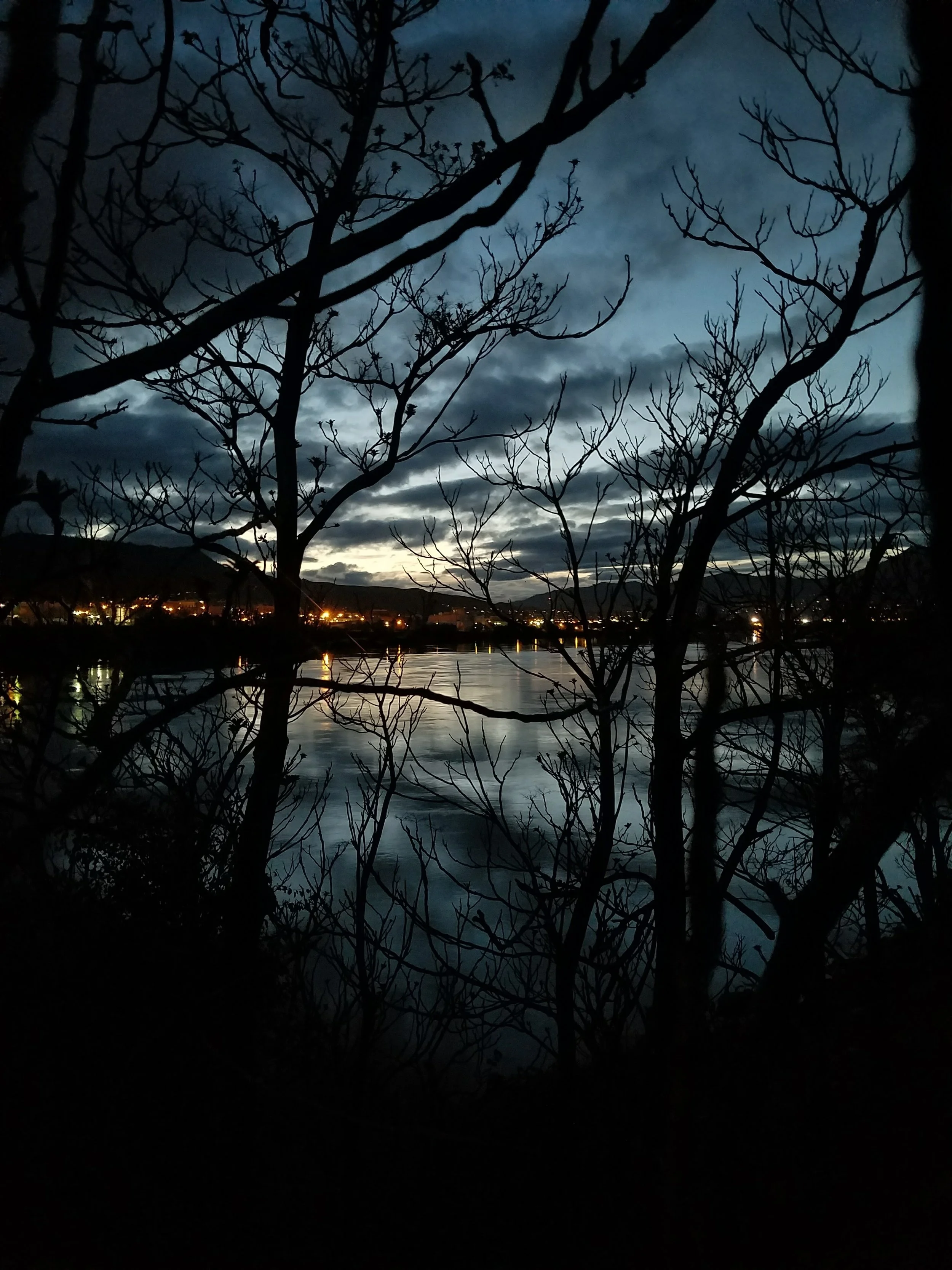 20170501_205308.jpg