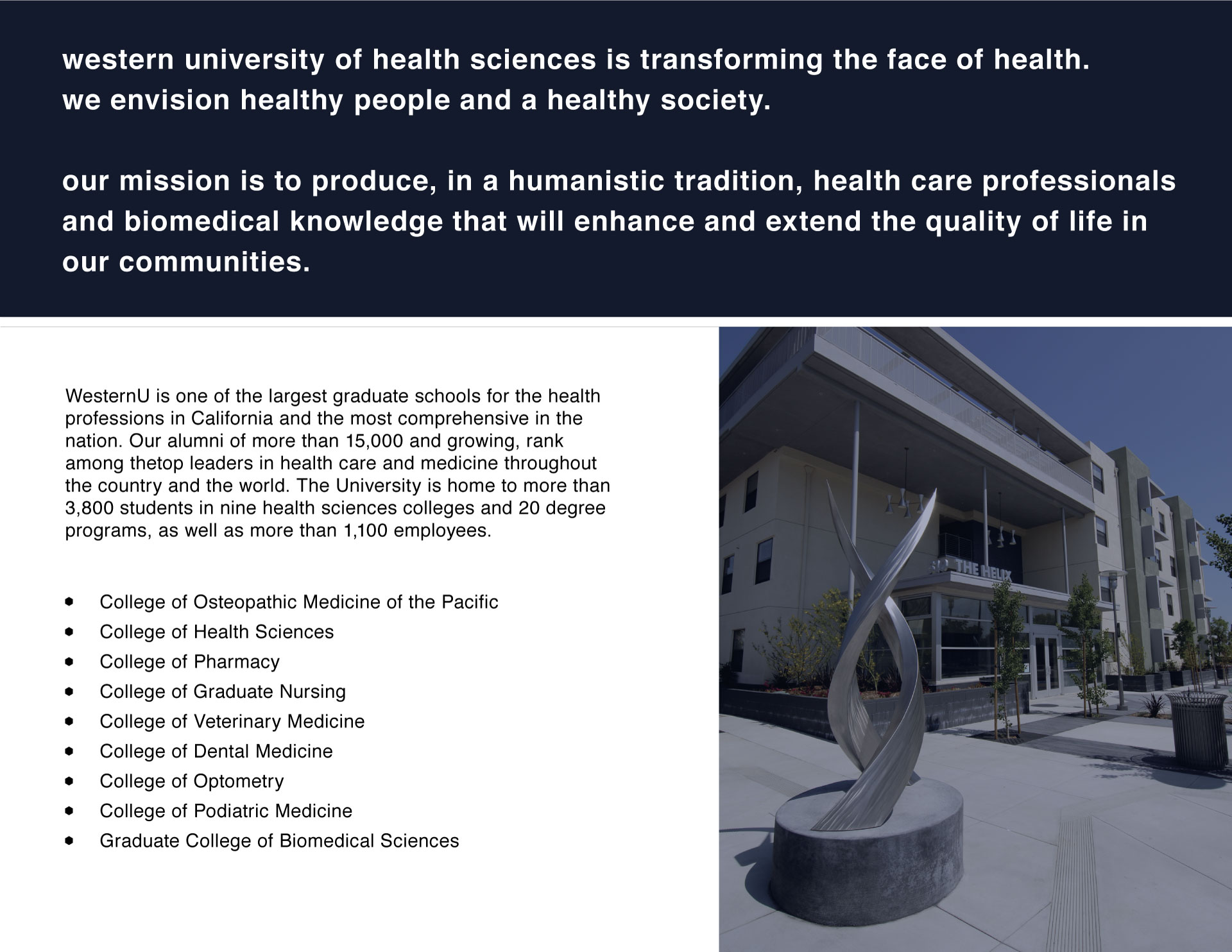 Website-Presentation10.jpg