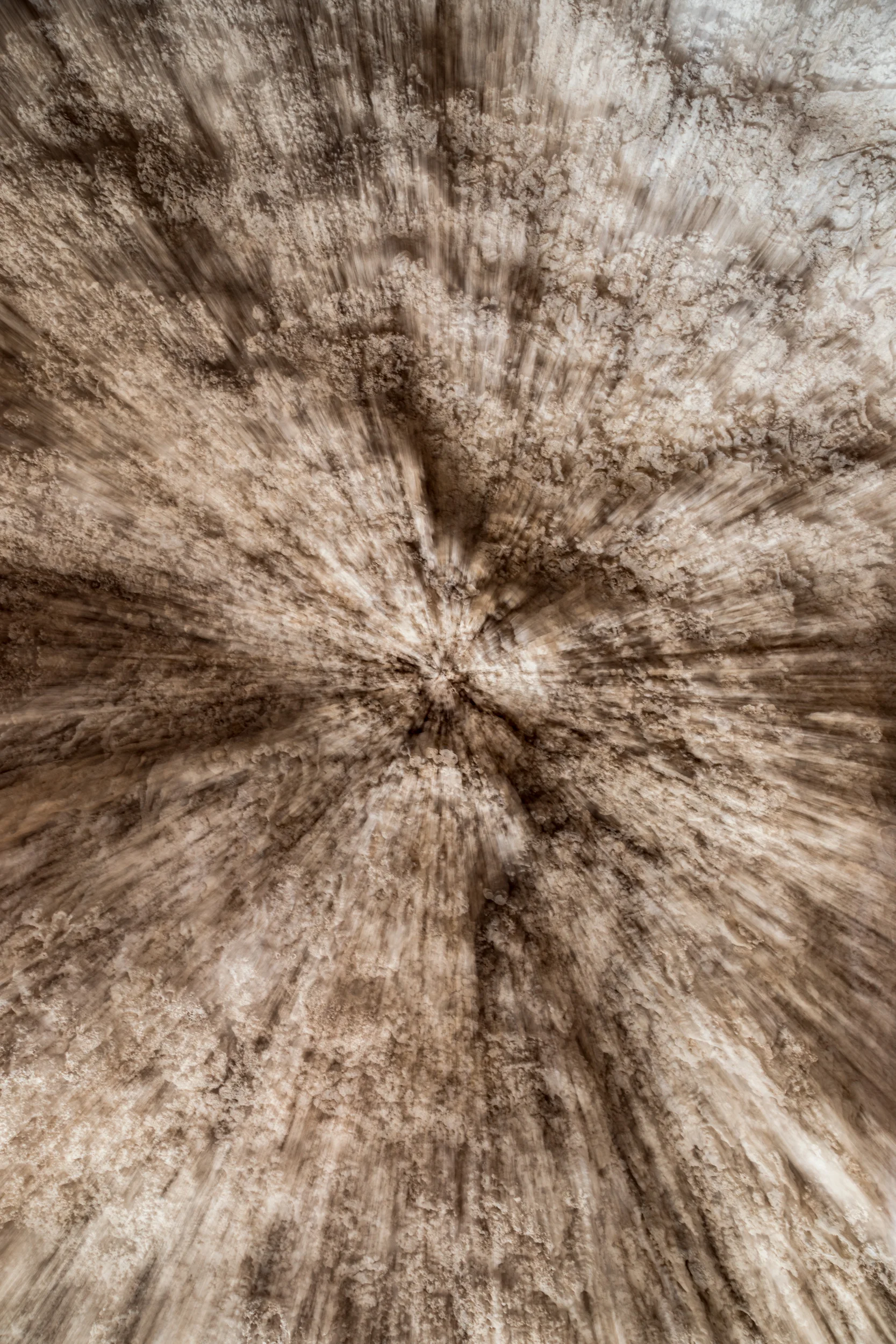 AmyRonkPhoto-1-2.jpg