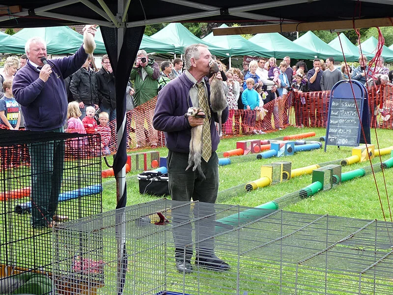 Summer Carnival yesteryear photos — Tring Together