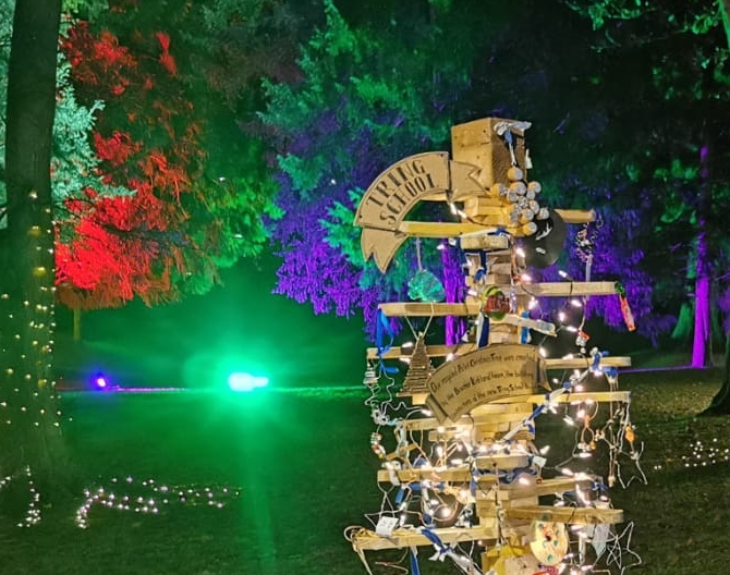 Christmas Tree Competition