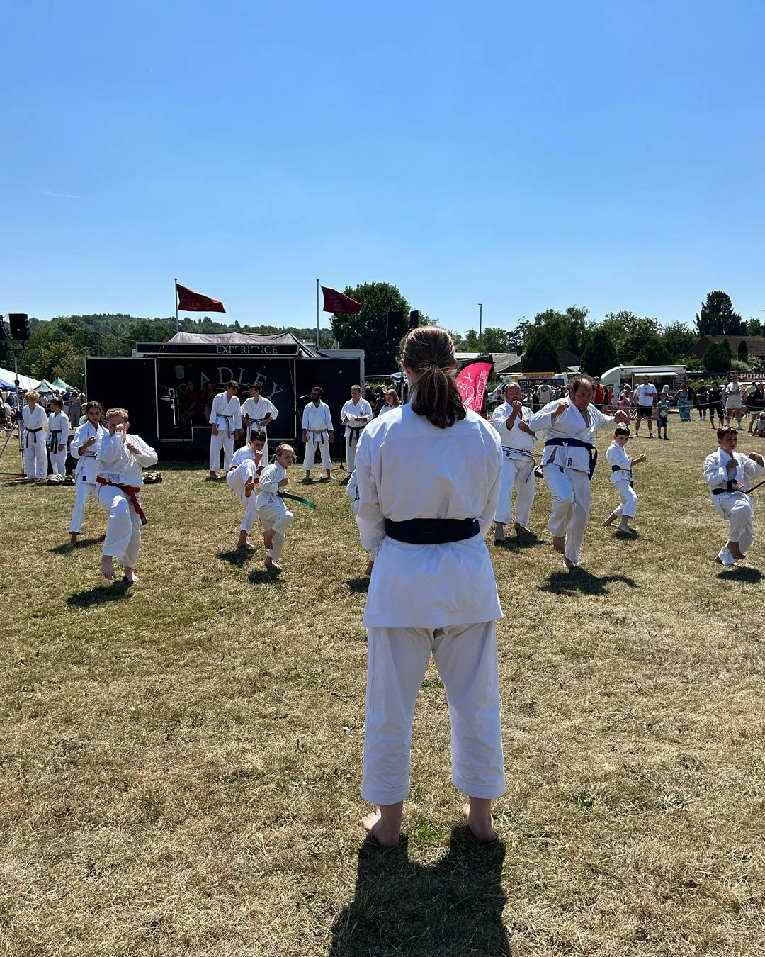Summer-Carnival-Web-Images-2026-martial-arts.jpg