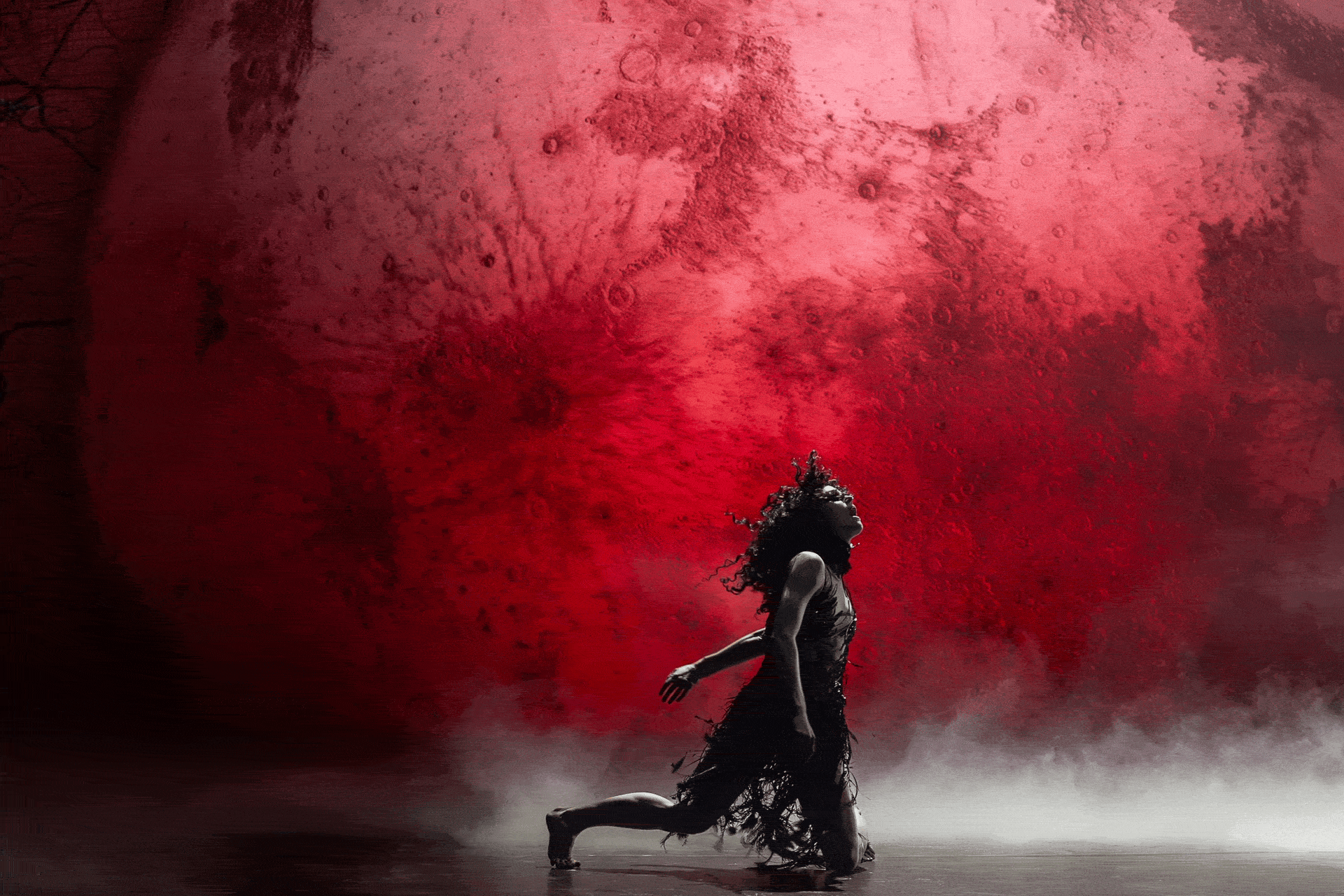 BLACK SWAN, the ART