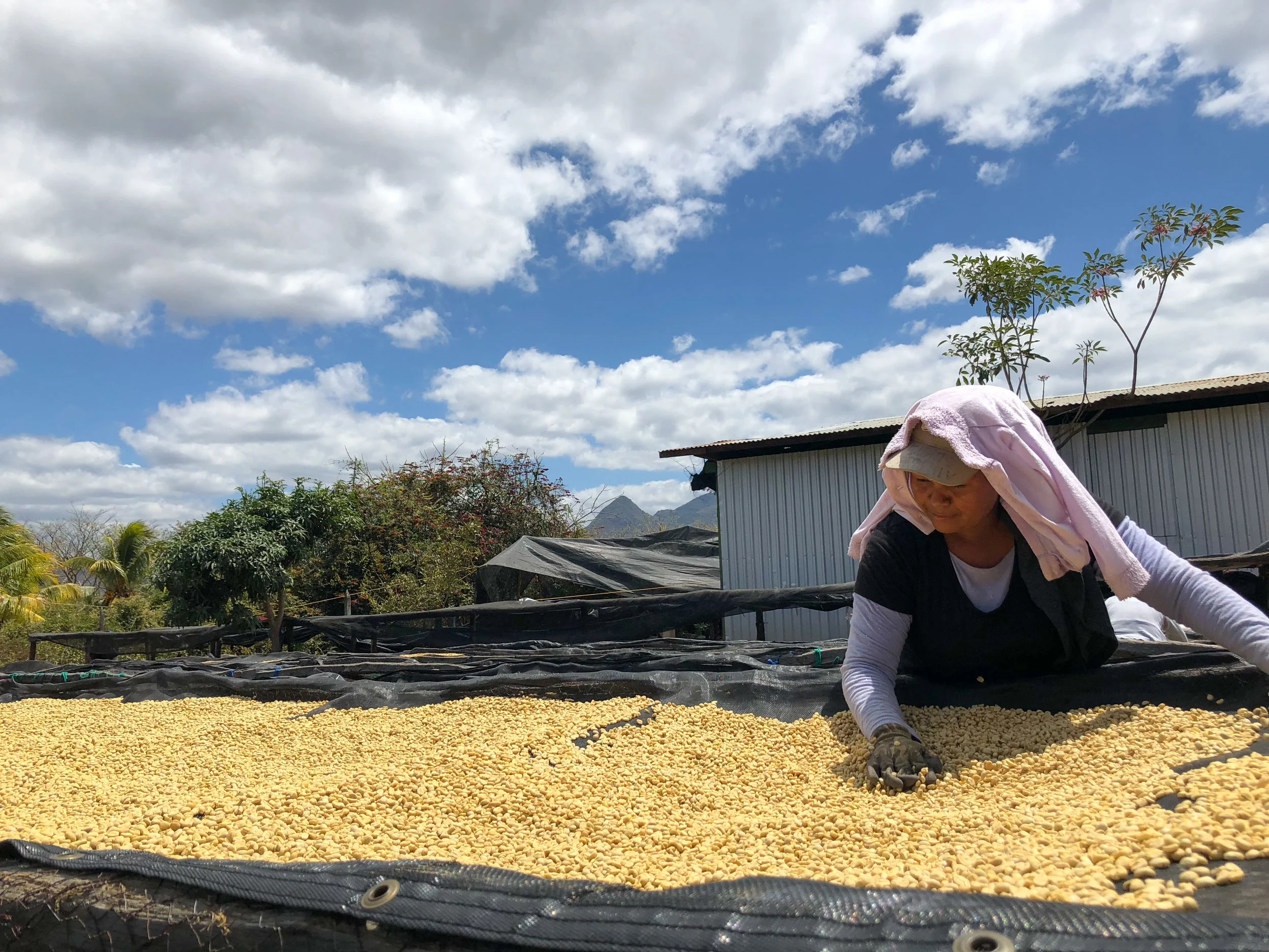 Small Batch Coffee Roasters Proudly Serving Los Angeles Since 2008