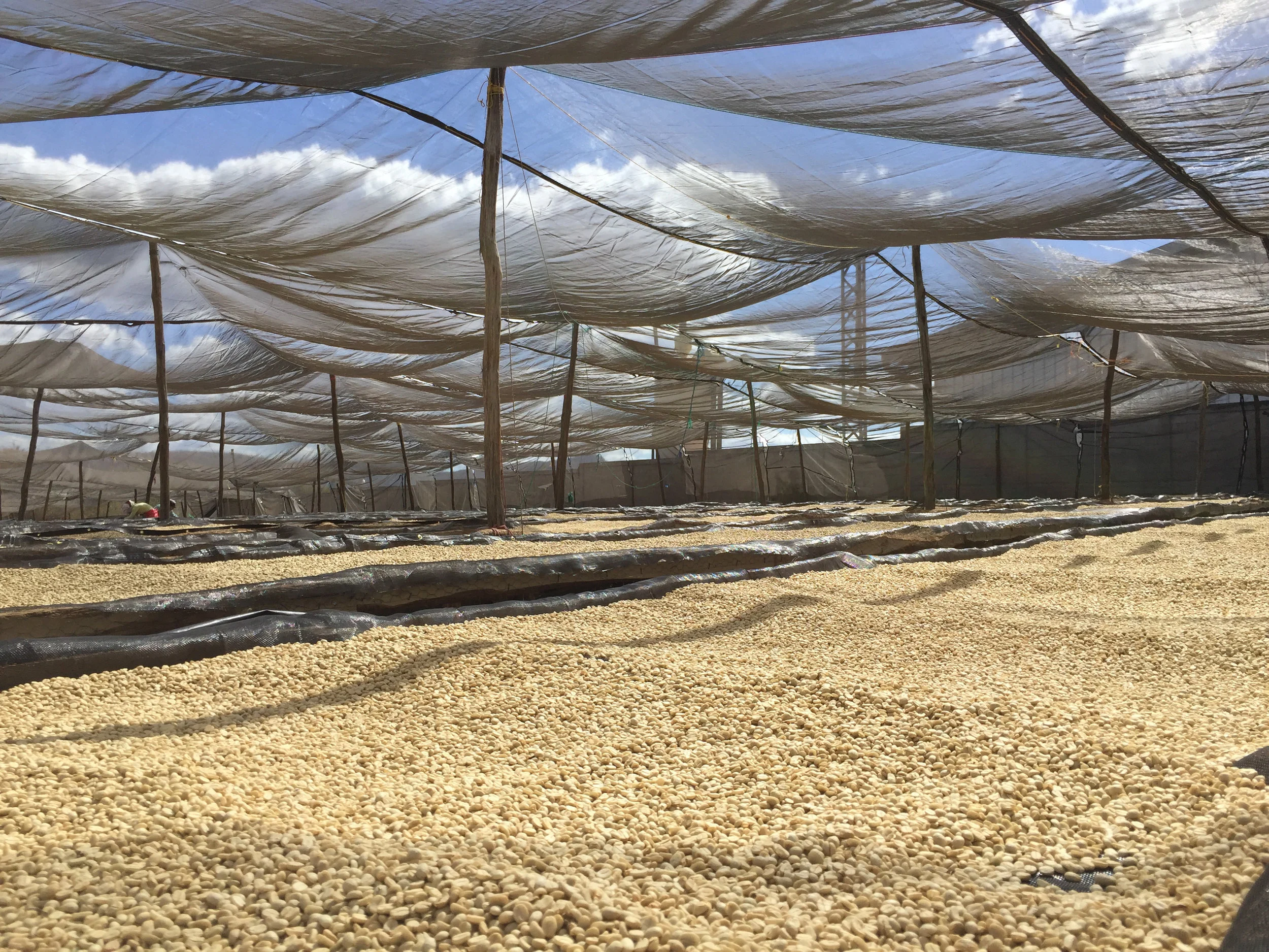 Small Batch Coffee Roasters Proudly Serving Los Angeles Since 2008