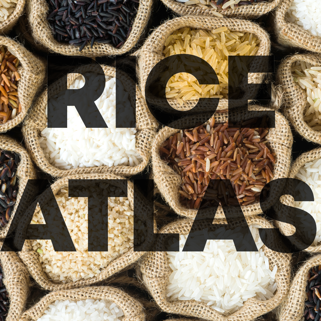 rice1x1.png