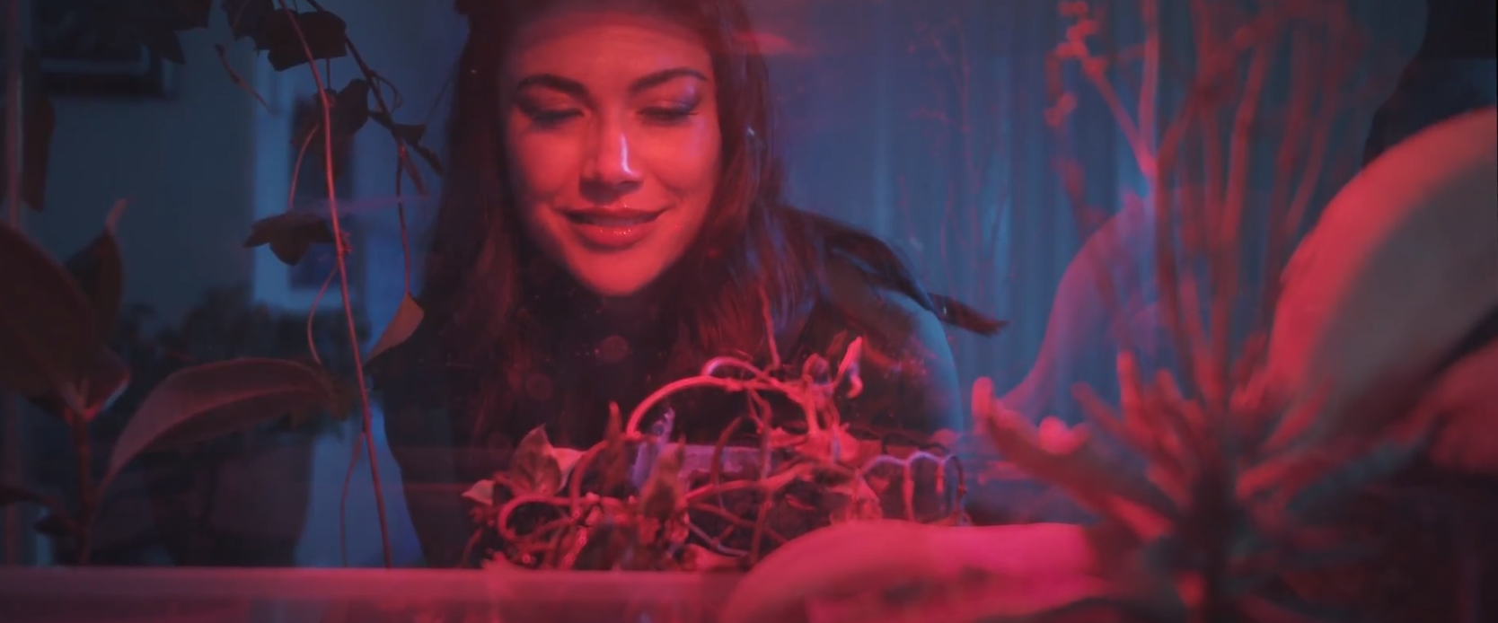 Reptile House Web Still1.PNG